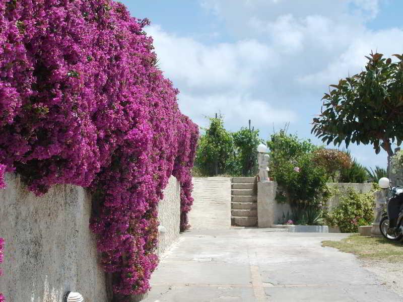 Villa Natalina Forio  Bagian luar foto
